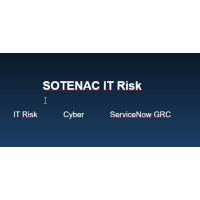 SOTENAC IT RISK logo